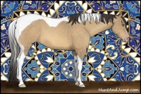 Horse Color:Sable Cream Champagne Tobiano 