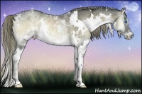 Horse Color:White Spotted Liver Red Onyx Ice Splash Rabicano