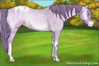 Horse Color:Watercolor Amber Cream Champagne Roan Onyx Varnish 