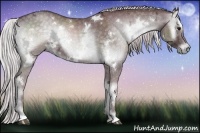 Horse Color:White Spotted Chocolate Silver Blue Onyx Chinchilla Ice