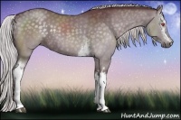 Horse Color:White Spotted Chocolate Silver Black Chinchilla Sabino