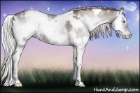 Horse Color:White Spotted Chocolate Silver Blue Onyx Chinchilla Splash Brindle 