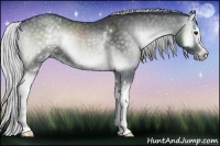 Horse Color:White Spotted Silver Blue Onyx Chinchilla Sabino Brindle 