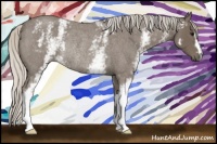 Horse Color:White Spotted Silver Smoky Blue Roan Rabicano 