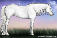 Horse Color:Liver Red Dun Pearl Sabino Splash Tobiano Rabicano