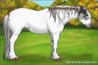 Horse Color:White Spotted Black Splash Tobiano Frame Appaloosa