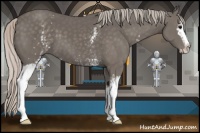 Horse Color:White Spotted Silver Black Sabino 