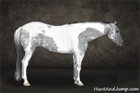 Horse Color:Smoky Blue Ice Roan Tobiano 