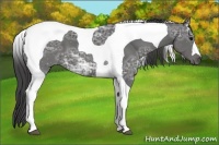 Horse Color:Smoky Black Ice Tobiano