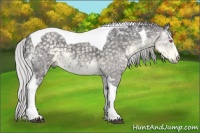 Horse Color:Silver Smoky Black Chinchilla Ice Sabino Tobiano 