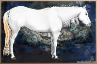 Horse Color:Buckskin Dun Sabino Blanket