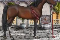 Horse Color:Brown 