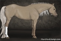Horse Color:Silver Smoky Grullo 