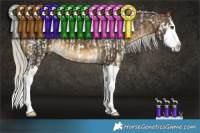 Horse Color:White Spotted Silver Bay Roan Splash  and Silver Buckskin Splash 