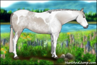 Horse Color:Gray Red Dun Tobiano 