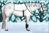 Horse Color:White Spotted Black Splash Tobiano Frame Appaloosa