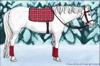 Horse Color:White Spotted Silver Black Splash Tobiano Frame Appaloosa