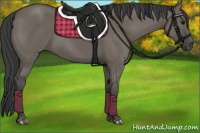 Horse Color:Smoky Grullo 