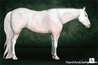 Horse Color:Gray Buckskin Ice Pearl Dun Tobiano Rabicano