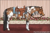 Horse Color:White Spotted Buckskin 