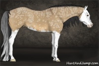 Horse Color:Buckskin Ice Dun Splash 