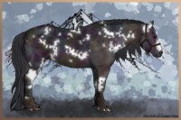 Horse Color:White Spotted Midnight Brown Ice