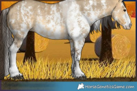 Horse Color:Buckskin Dun Sabino 