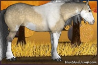 Horse Color:Buckskin Dun Sabino