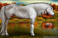Horse Color:Gray Chestnut 