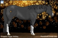 Horse Color:Smoky Black 