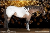 Horse Color:Buckskin Appaloosa 