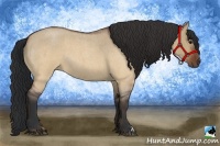 Horse Color:Brown Roan Dun 