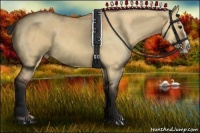 Horse Color:Bay Dun Splash 