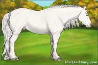 Horse Color:Silver Perlino