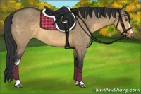 Horse Color:White Spotted Buckskin Dun 