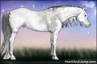 Horse Color:White Spotted Brown Dun Splash 