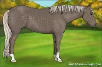 Horse Color:Silver Black 