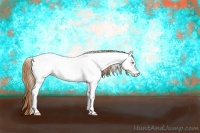 Horse Color:Bay Pearl Dun Tobiano Frame Appaloosa
