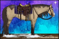 Horse Color:Liver Red Dun Splash 