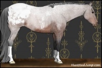 Horse Color:Brown Roan Snowcap 