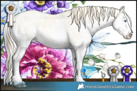 Horse Color:White Spotted Perlino Dun Sabino Splash