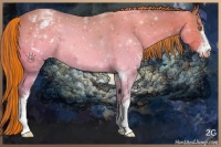 Horse Color:Painted Amber Cream Champagne Sabino Appaloosa