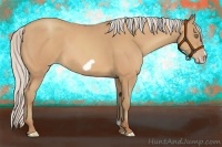 Horse Color:Silver Amber Champagne Frame 
