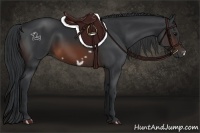 Horse Color:Brown Frame 