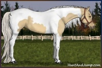 Horse Color:Silver Buckskin Dun Tobiano 