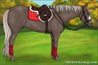 Horse Color:Silver Black 
