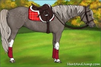 Horse Color:Silver Black 