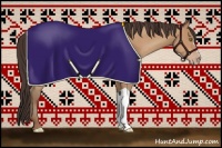 Horse Color:Amber Champagne 