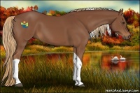 Horse Color:Chestnut Tobiano