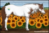 Horse Color:Chestnut Tobiano Frame